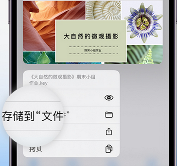 祁东apple维修中心分享iPhone文件应用中存储和找到下载文件