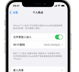 祁东apple服务站点分享iPhone上个人热点丢失了怎么办 