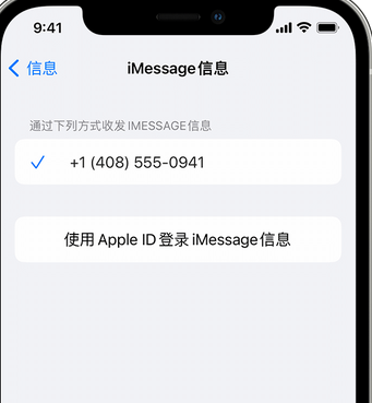 祁东apple维修iPhone上无法正常发送iMessage信息 