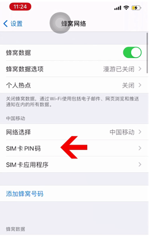 祁东苹果14维修网分享如何给iPhone14的SIM卡设置密码 