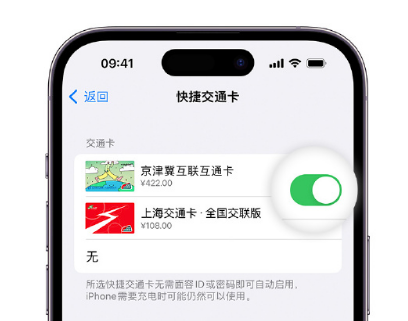 祁东apple维修点分享iPhone上更换Apple Pay快捷交通卡手绘卡面 