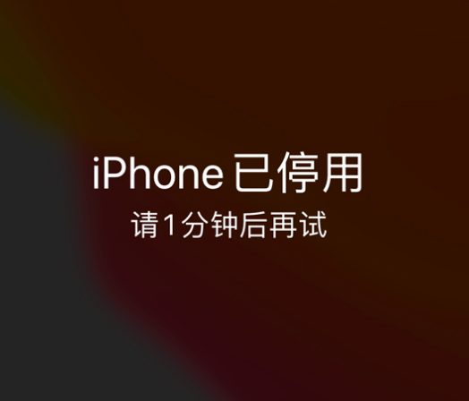 祁东苹果手机维修分享:iPhone 显示“不可用”或“已停用”怎么办？还能保留数据吗？ 