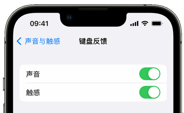 祁东苹果手机维修分享iPhone 14触感键盘使用方法 
