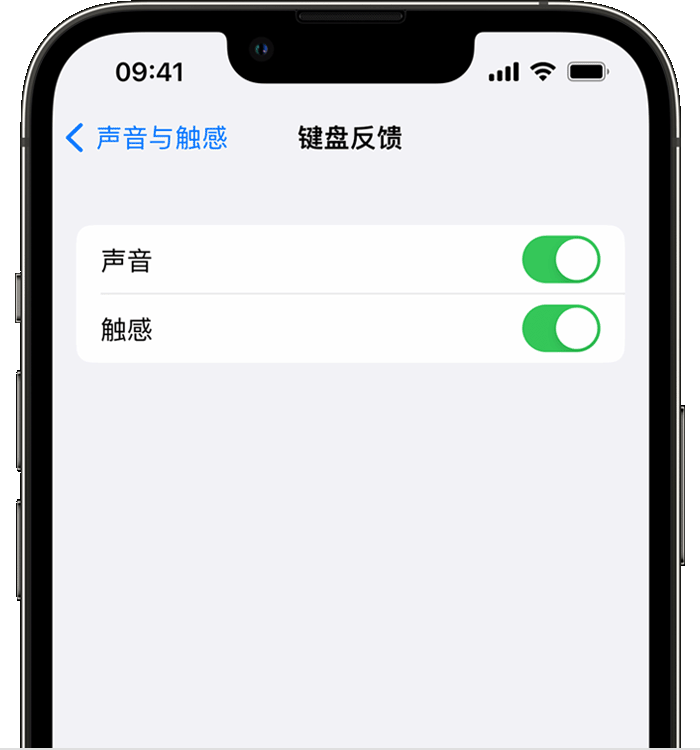 祁东苹果14维修店分享如何在 iPhone 14 机型中使用触感键盘 