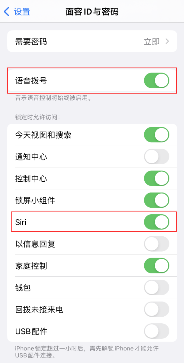 祁东苹果维修网点分享不解锁 iPhone 的情况下通过 Siri 拨打电话的方法 