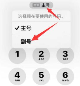 祁东苹果14维修店分享iPhone 14 Pro Max使用副卡打电话的方法 