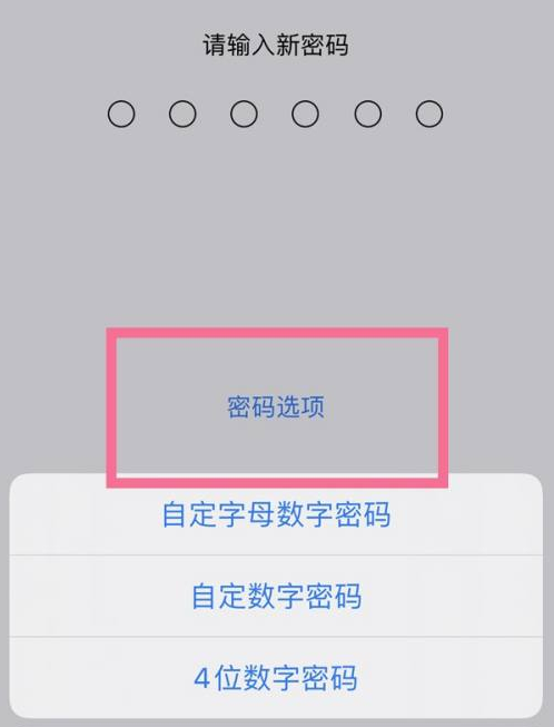 祁东苹果14维修分享iPhone 14plus设置密码的方法 