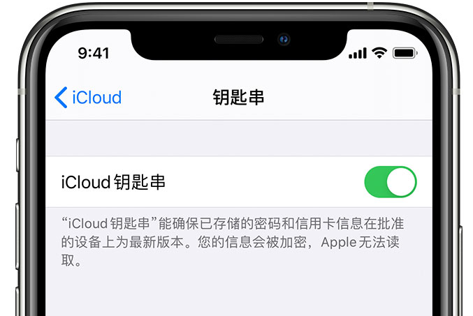 祁东苹果手机维修分享在 iPhone 上开启 iCloud 钥匙串之后会储存哪些信息 