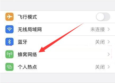 祁东苹果手机维修分享iPhone手机4G网络怎么设置成5G网络 