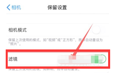 祁东苹果13维修分享iPhone13拍照有绿点是怎么回事 