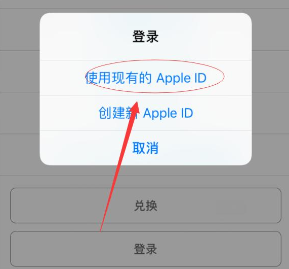 祁东苹果手机维修分享两台iPhone设备可以同时登录一个Apple ID吗 