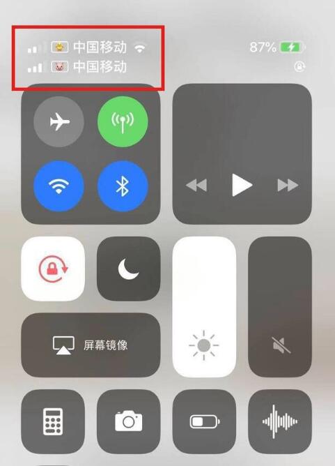 祁东苹果手机维修分享为 iPhone 12 双卡设置标签 